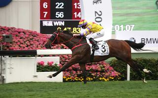 Ping Hai Star (NZ) in a dazzling finishing burst to win the HK$18 million Hong Kong Derby (2000m). Photo: HKJC